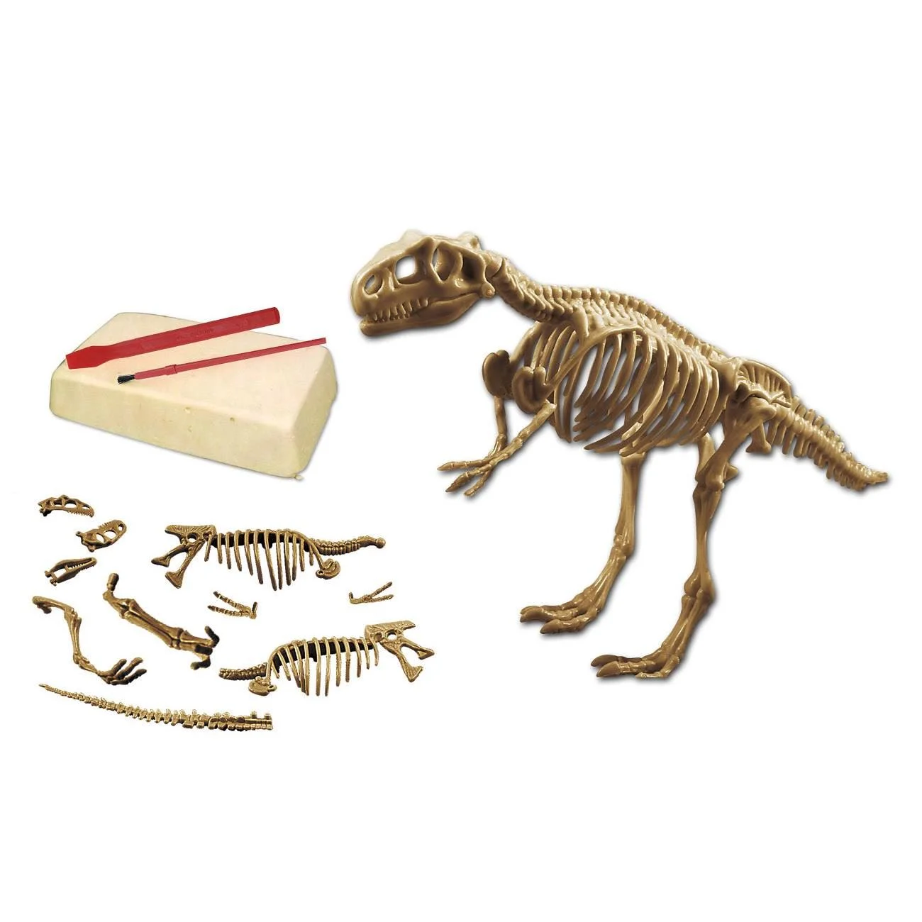 Set excavare Fosile de Dinozaur