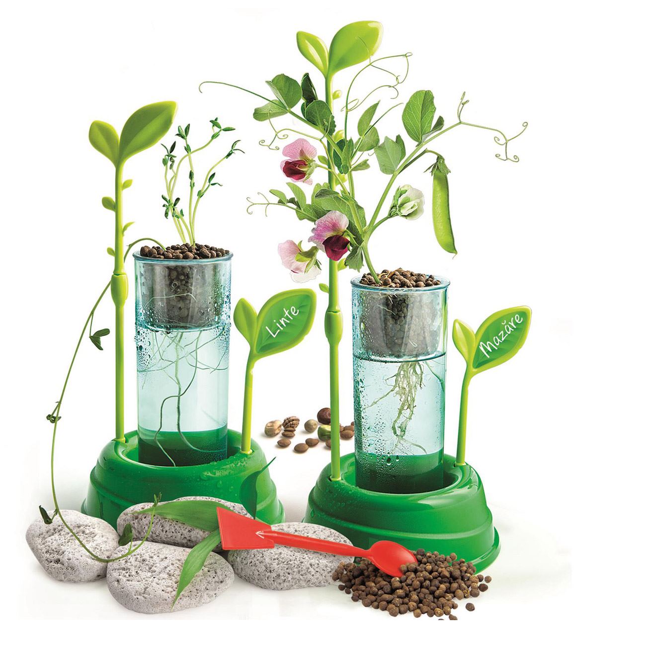 Stiinta & Joaca Gradina Mea - Cultiva Plante Fara Sol - Clementoni - poza 2