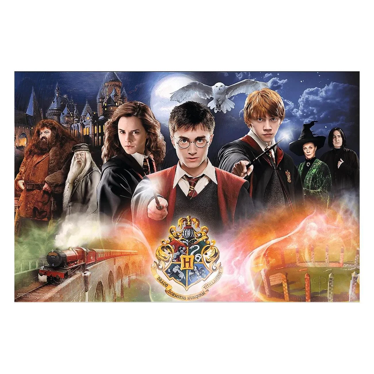 Puzzle Harry Potter Toate Personajele (300 de piese) - Trefl - poza 2