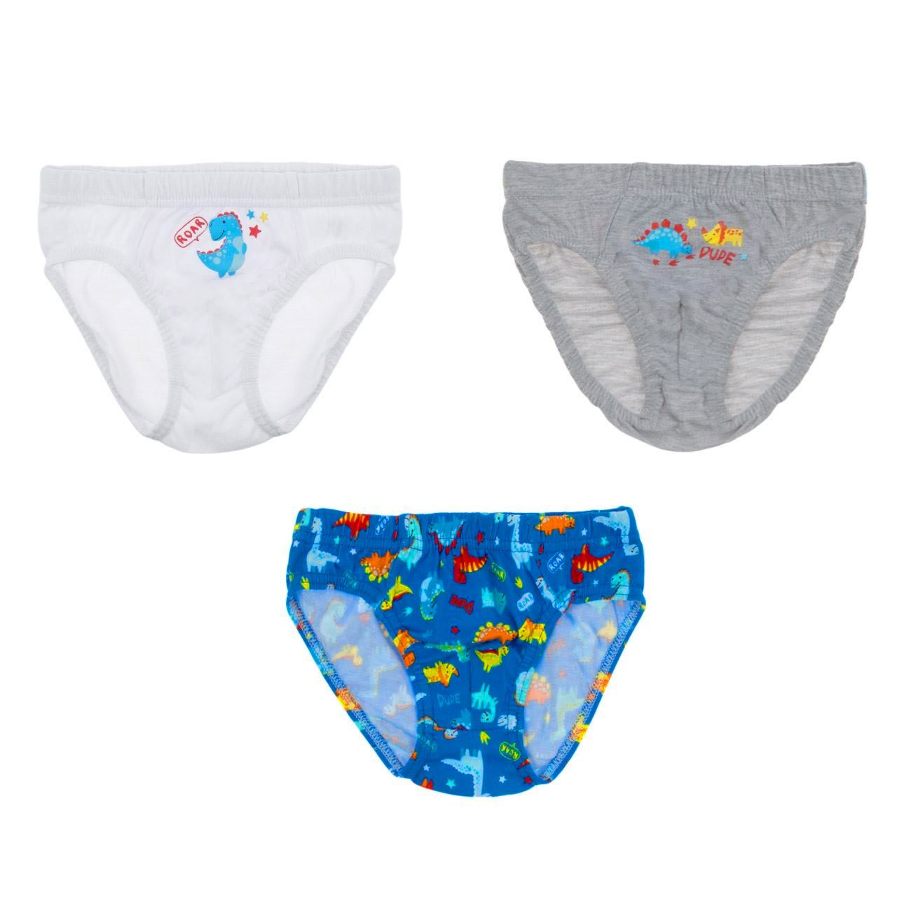 Set Chiloti Gri Ciel Alb Dinozaur pentru Copii - 3 perechi - poza 2